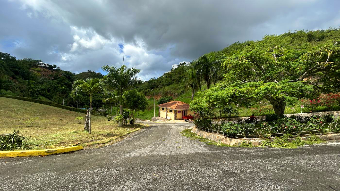 Vista general de los lotes