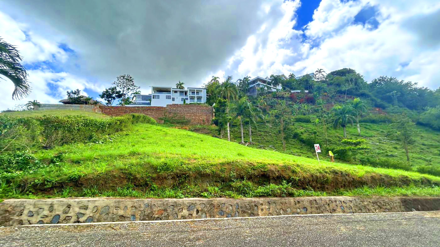 Lot 24 at Bellavista — Green view