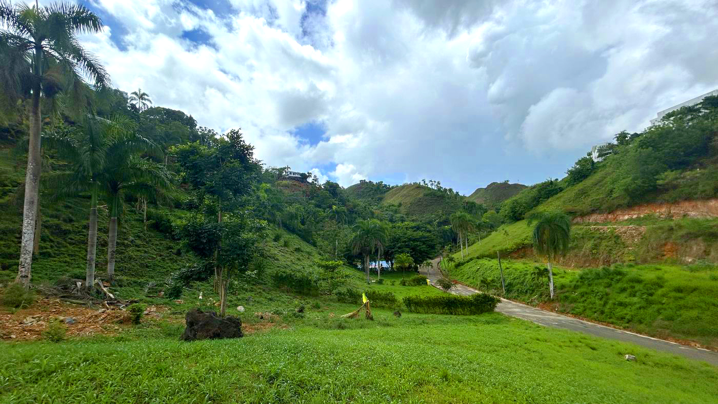 Lot 25 at Bellavista — Green view