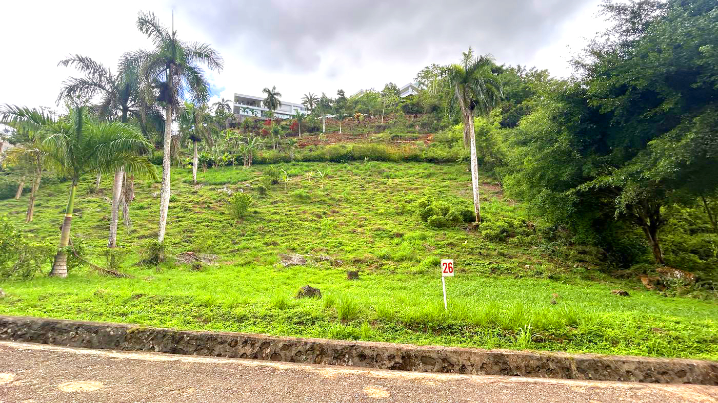 Lot 26 at Bellavista — Green view