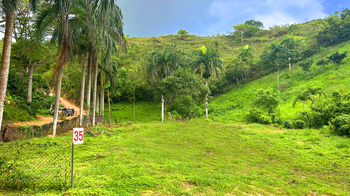 Lot 35 at Bellavista — Green view
