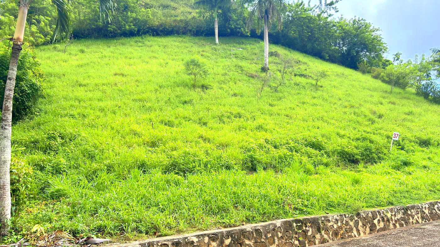 Lot 37 at Bellavista — Green view