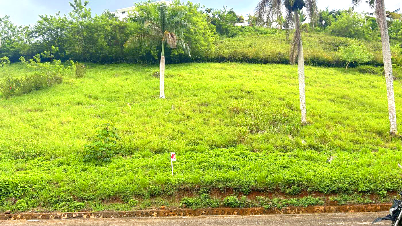 Lot 40 at Bellavista — Green view