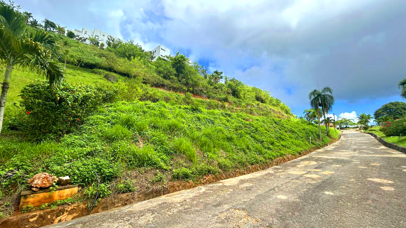 Lot 41 at Bellavista — Green view