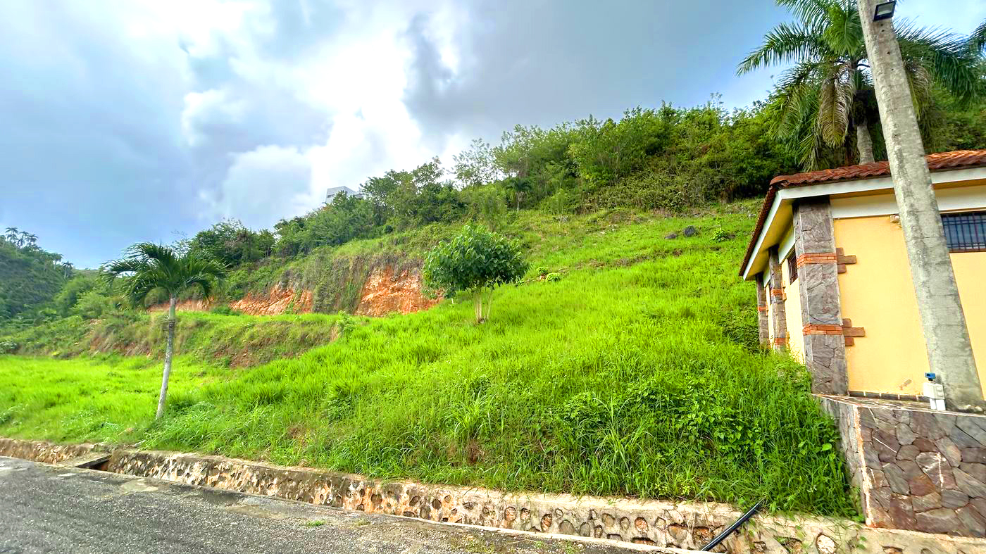 Lot 42 at Bellavista — Ocean view