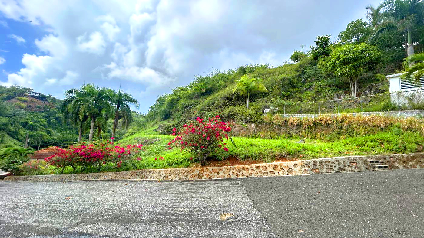 Lot 43 at Bellavista — Ocean view