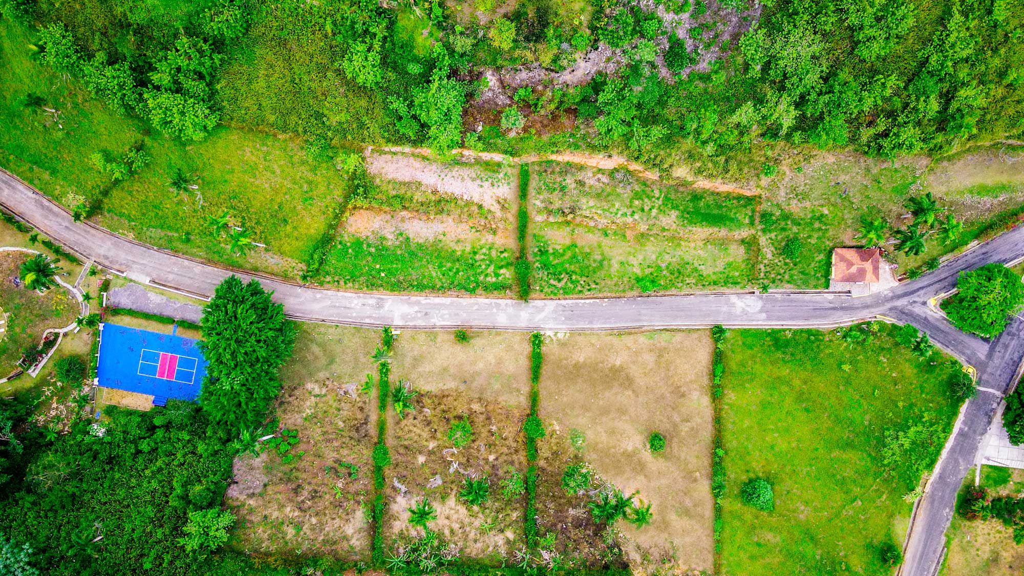Marked lots on the Bellavista land